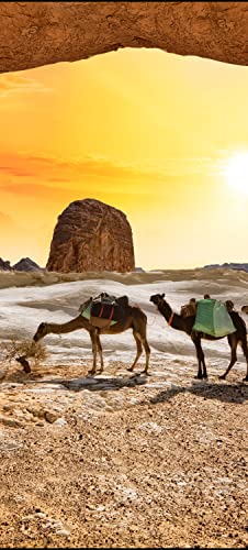 wandmotiv24 Türtapete Kamele in der Wüste 100 x 200cm (B x H) - Dekorfolie selbstklebend Sticker für Türen, Türfolie, Aufkleber, M0562 von wandmotiv24