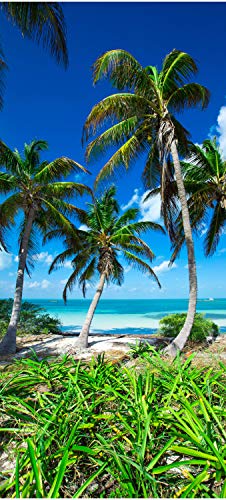 wandmotiv24 Türtapete Palmen an einem tropischen Strand 80 x 200cm (B x H) - Dekorfolie selbstklebend Sticker für Türen, Türfolie, Aufkleber, M0914 von wandmotiv24