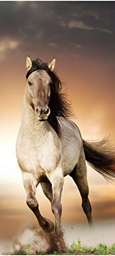 wandmotiv24 Türtapete Pferd rennt über Wiese, Schimmel, Weiß 70 x 200cm (B x H) - Dekorfolie selbstklebend Sticker für Türen, Türfolie, Aufkleber, M1158 von wandmotiv24