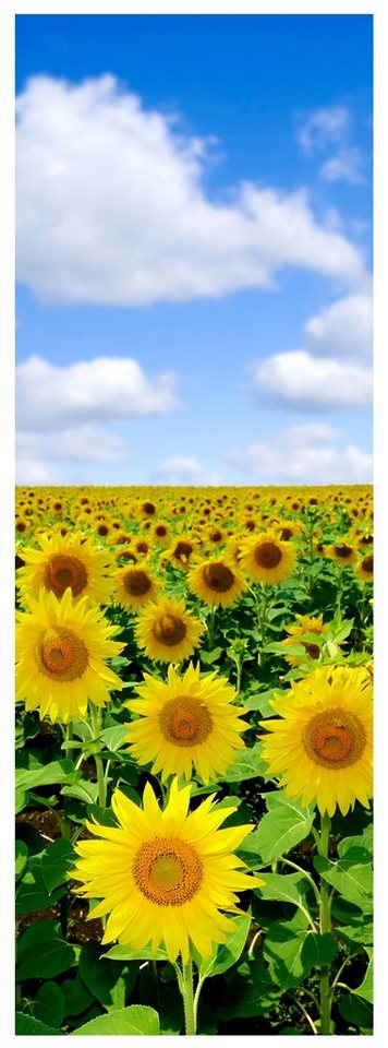 wandmotiv24 Türtapete Sonnenblumenfeld, glatt, Fototapete, Wandtapete, Motivtapete, matt, selbstklebende Vliestapete von wandmotiv24