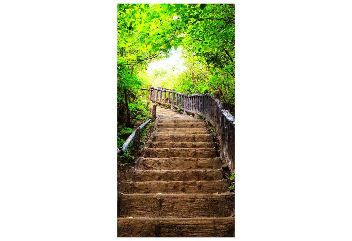 wandmotiv24 Türtapete Treppe im Wald, Steintreppe, Holz, Bäume, glatt, Fototapete, Wandtapete, Motivtapete, matt, selbstklebende Vliestapete von wandmotiv24