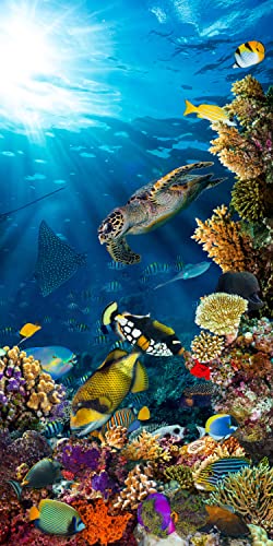 wandmotiv24 Türtapete Unterwasser Meer Korallen Fische 90 x 200cm (B x H) - selbstklebend Vlies 150g Sticker für Türen, Türfolie, Aufkleber, M1406 von wandmotiv24