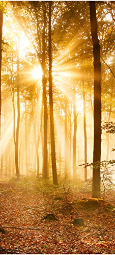 wandmotiv24 Türtapete Wald am Morgen 70 x 200cm (B x H) - Dekorfolie selbstklebend Sticker für Türen, Türfolie, Aufkleber, M0391 von wandmotiv24