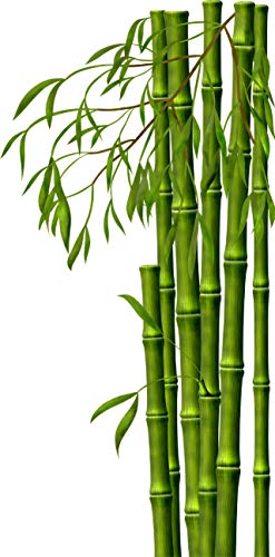 wandmotiv24 Wandsticker Bambus Wald, Asien, Grün, Natur, Pflanze M - mittel 58x118cm Wand-Aufkleber, Sticker, Wand-Bild, Deko Bilder, Dekoration Wohnung modern WS00000146 von wandmotiv24