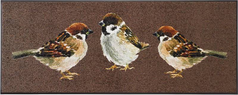 Fußmatte Fußmatte von wash+dry by Kleen-Tex