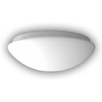 WATT24 WELOOM Nurglasleuchte - Opal matt Ø20 1xE14 40W
  - 30140279 von watt24 GmbH