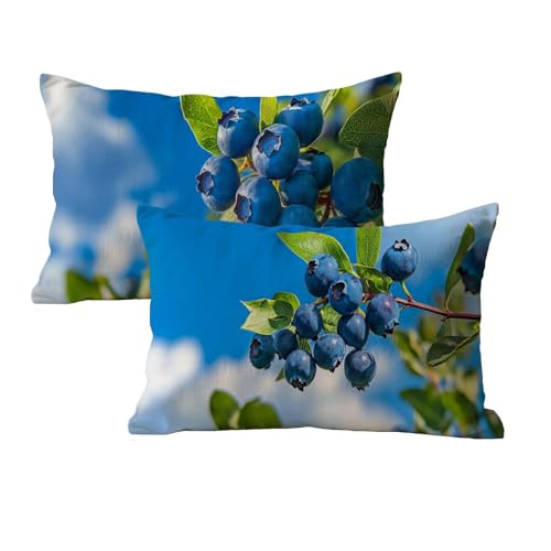 Rechteck Kissenbezug 40x70 Wasserfest 2er Set Blaubeere Muster Deko Kissen Outdoor Kissen Kissenbezug Leinen Mit Unsichtbarem Reißverschluss Für Wohnzimmer Schlafzimmer Outdoor Terrassen Deko P-59 Rechteck Kissenbezug 40x70 Wasserfest 2er Set Blaubeere Muster Deko Kissen Outdoor Kissen Kissenbezug Leinen Mit Unsichtbarem Reißverschluss Für Wohnzimmer Schlafzimmer Outdoor Terrassen Deko P-59 von wcusmmog