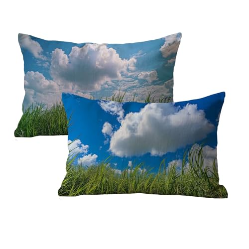 wcusmmog Rechteck Kissenbezug 70x90 Wasserfest 2er Set Wiese Muster Design Deko Kissen Outdoor Kissen Kissenbezug Samt Mit Unsichtbarem Reißverschluss Für Wohnzimmer Schlafzimmer Terrassen Deko P-105 wcusmmog Rechteck Kissenbezug 70x90 Wasserfest 2er Set Wiese Muster Design Deko Kissen Outdoor Kissen Kissenbezug Samt Mit Unsichtbarem Reißverschluss Für Wohnzimmer Schlafzimmer Terrassen Deko P-105 von wcusmmog
