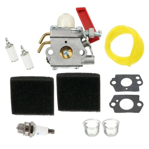Carburetor Kit kompatibel mit B25C BC2500R D725CD D725CDE D825SB D825SD F2020 F3040 F3050 984534001 Ersatzteil für kleine Motoren(Schiff innerhalb von 24 Stunden versenden) von wdcJHNPTW