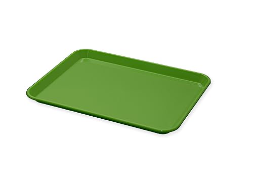 Frühstückstablett aus strapazierfähigem ABS – 27 x 21 x 1,7 cm – ideal zum Servieren von Tassen, Gläsern, Besteck, Keksen und anderen von weSTOCK