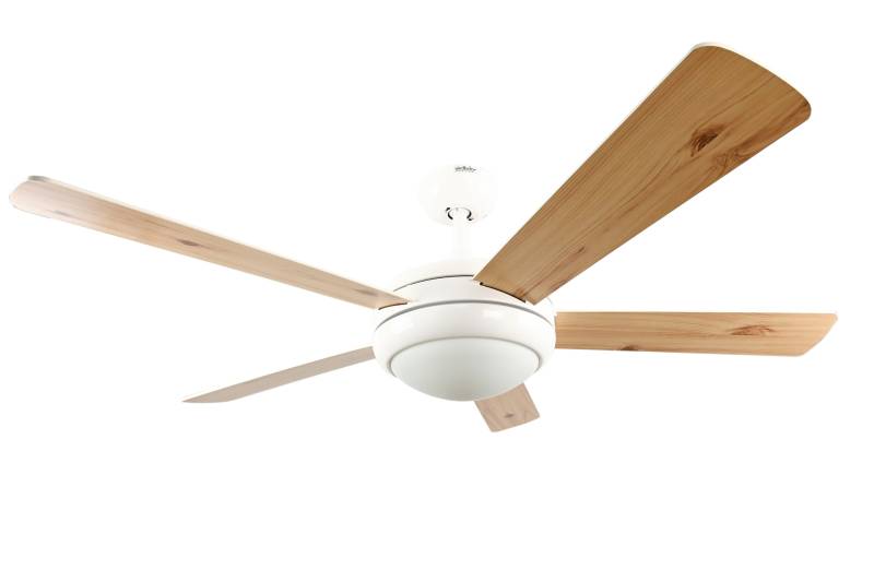 Deckenventilator Ursa von webtotrade - AireRyder