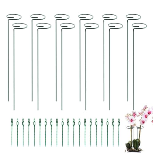 weiting Gladiolen-Stützpfähle, Blumenpfähle und Stützen - 12 Stück Pflanzenstielstützen für Blumen,20 Stück Kabelbinder im Lieferumfang enthalten, Gartenblumenpfähle zur Unterstützung beim Begradigen weiting Gladiolen-Stützpfähle, Blumenpfähle und Stützen - 12 Stück Pflanzenstielstützen für Blumen,20 Stück Kabelbinder im Lieferumfang enthalten, Gartenblumenpfähle zur Unterstützung beim Begradigen von weiting
