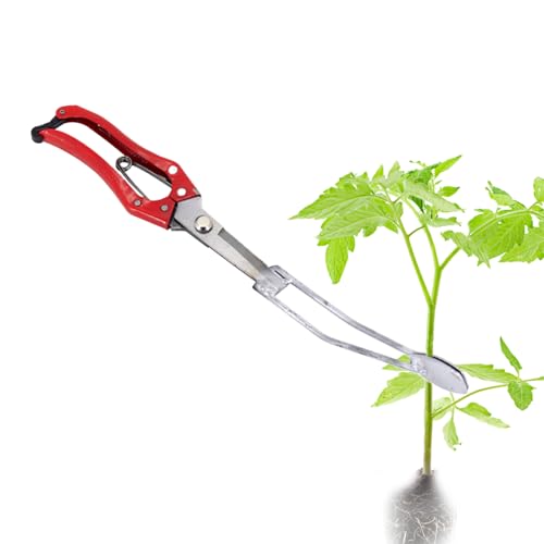 weiting Pflanzsetzholz - Umpflanzwerkzeug Für | Pflanz Utensil Für Bauern Urbaner Haushalt Terrasse Balkon Gemeinschaftsgarten Gärtnereien Zum Pflanzen Von Setzlingen von WEITING