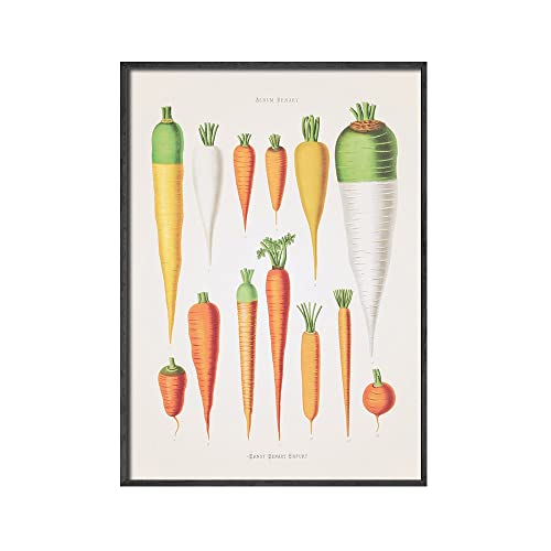 Moderne Küchendekor Wurzel Gemüse und Rote Beete Lebensmittel Poster Chillis Peppers Leinwand Malerei Retro Wandkunst Druckbilder (Color : D, Size : 50x70CM No Frame) von weiwie