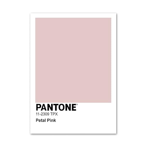 Nordic Pantone Pink Orange Grüne weiße weiße minimalistische Wandkunst Leinwand Malerei und Drucke Wandbild for Wohnzimmerdekoration (Color : 2, Size : 30X40cm No Framed) von weiwie