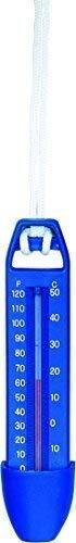 well2wellness® Poolthermometer Schwimmbad Thermometer Blau - 17 cm von well2wellness