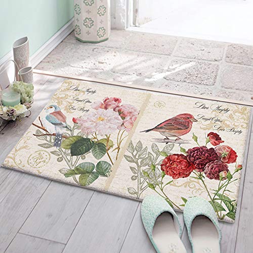 Rückseite Fußabtreter Vogel-Blumen-Retro-Buchstaben-Hintergrund 40X60Cm Haustür Fußmatten Komfortabel Eingangsmatte Waschbar Fussmatte Für Wohnzimmer Schlafzimmer Eingang von wenchangliangcanchengwangluokejiyouxiangongsi1