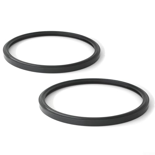 1 oder 2 Stück SPX0580Z2 Pool-Lichtlinsendichtung für Starlite Poollicht SPX0540Z2 a sichere und stabile Poolbeleuchtung (2 Stück) von wenyouya