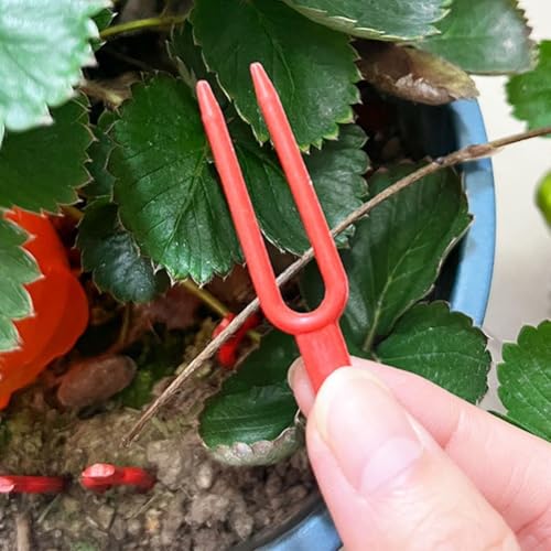 100-teiliges Erdbeergabel-Set mit Auffangtasche, perfektes Werkzeug für einfache Ernte 100-teiliges Erdbeergabel-Set mit Auffangtasche, perfektes Werkzeug für einfache Ernte von wenyouya