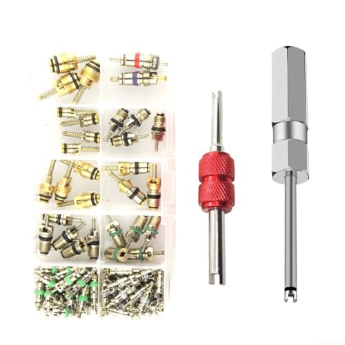 Auto AC R12 R134a Reifenventilschaftkerne Reparatursatz 102-teilig mit 2 Doppelzweckwerkzeugen zur Befestigung von Klimaanlagen in Fahrzeugen und Motorrädern Auto AC R12 R134a Reifenventilschaftkerne Reparatursatz 102-teilig mit 2 Doppelzweckwerkzeugen zur Befestigung von Klimaanlagen in Fahrzeugen und Motorrädern von wenyouya