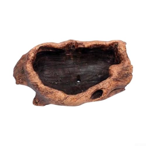 Dekorativer Zementblumentopf für Sukkulenten, skurrile Note für Zuhause oder Büro (Stil 1) von wenyouya