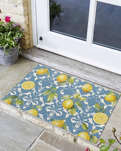 Schmutzabtreter Zitrone Zitronenblüte Blätter Blau Absorbierend Fussmatte Pflegeleicht Anti-Rutsch Türvorleger rutschfeste Fußmatte Für Flure Büro 40×60Cm von wesdfrrrrt