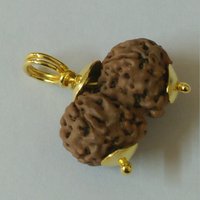Gauri Gouri Gowri Shankar Rudraksha Pendent Java Origin Lab Zertifiziert Gauri Gouri Gowri Shankar Rudraksha Pendent Java Origin Lab Zertifiziert von wholesalerudraksha