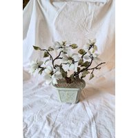 Glas Bonsai Magnolien Blüten von wildlilymercantile