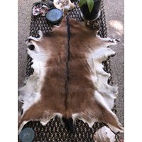 Gegerbtes Braunes Ziegenfell - 110 cm X 80 Gegerbtes Braunes Ziegenfell - 110 cm X 80 von wildorchidaustralia