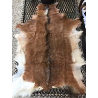 Echte Ziegenfelle von wildorchidaustralia