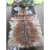 Echtes Ziegenfell Rustikales Dekor, Verschiedene Farben | 110 cm X 80 cm Echtes Ziegenfell Rustikales Dekor, Verschiedene Farben | 110 cm X 80 cm von wildorchidaustralia