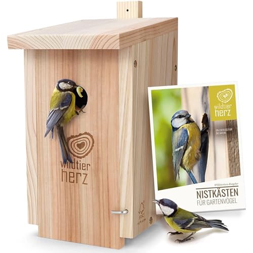 wildtier herz Nistkasten Meisen für Kohlmeisen aus Massiv-Holz, wetterfest, zum Aufhängen – Perfekter Vogelnistkasten für draußen mit NABU-Siegel - 32 mm von wildtier herz