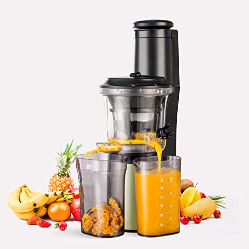 Wiltal Slow Juicer, Elektrischer Entsafter für Obst, Gemüse, Granatapfel, Zitrusfrüchte, Sorbet. 76-mm-Futterschacht mit Weitem Mund, BPA-frei, 150 W, Schwarz von wiltal