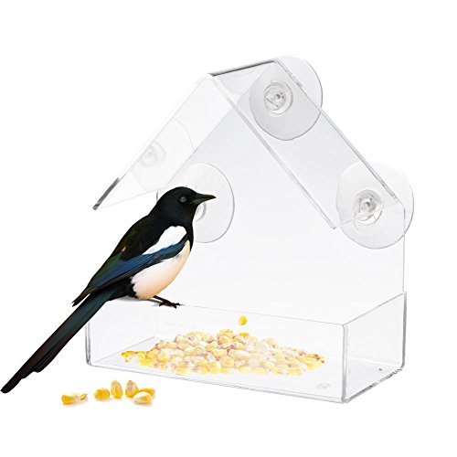 windyday Fenster-Vogelfutterhaus für Wildvögel 3 Saugnäpfe Futterstation mit Dach HBT: 15 x 15 x 7 cm transparent Acrylglas PVC Standard von windyday