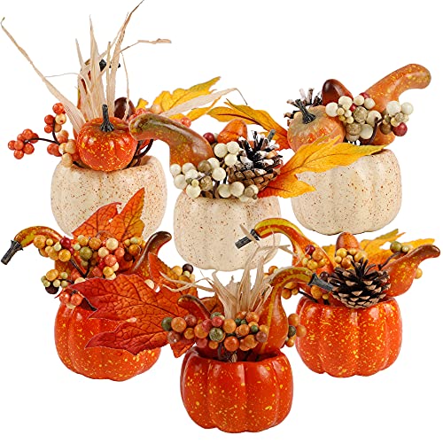 winemana Thanksgiving Decorations Set of 6 Artificial Pumpkin Berry Acorn Pine Cone Vegetables for Harvest Fall Tabletop Home Kitchen Party von winemana
