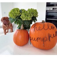 Hello Pumpkin - Halloween Wort Für Kürbis Deko von wireworksuk