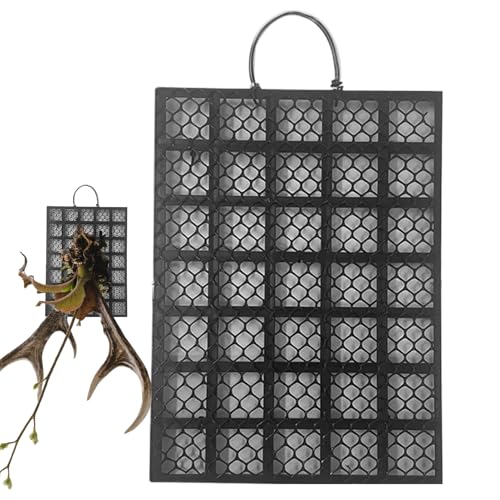 wiroouia Staghorn Farn Montage Set - Halter Für Hirschgeweihfarn Wand Pflanzbrett - Halter Für Kletterpflanzen Garten Und Heimdekoration Für Wohnzimmer Balkon Büros Schlafzimmer Wohnheim von wiroouia