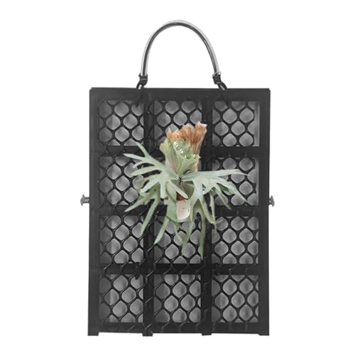 wiroouia Staghorn Fern Wandhalterung | Vertikale Pflanzenwand Pflanzrahmen Brett | Platycerium Orchideen Montage Wohndekoration für Garten Innenraum Außenbereich Büros Wohnheime Schlafzimmer Balkon von wiroouia