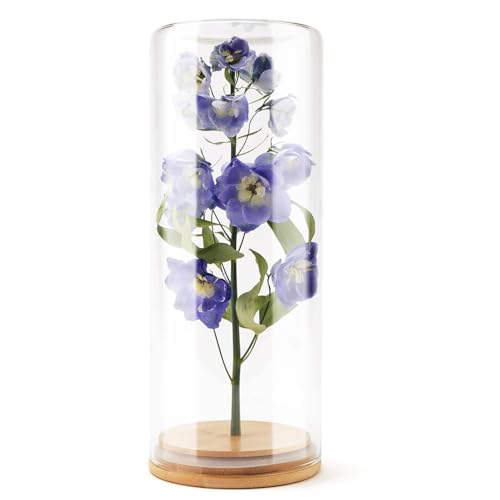 wisedry Dekorative Glasvitrine mit Bambusboden für getrocknete Blumen, 9,9 x 26,7 cm von wisedry