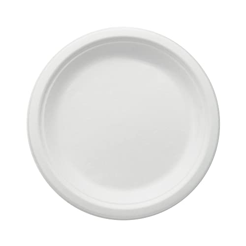 wisefood Zuckerrohr Teller - 400 Stück flache Bagasse Einwegteller rund weiß ∅ 26cm - Einmal Pappteller ideal als Partyteller oder Speiseteller - Nachhaltiges Zuckerrohr Geschirr ohne PLA/PE von wisefood