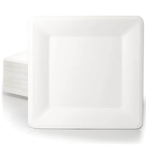 wisefood Zuckerrohr Teller - 100 Stück Bagasse Einwegteller quadratisch 20cm - Einmal Pappteller ideal als Partyteller oder Speiseteller - Nachhaltiges Zuckerrohr Geschirr ohne PLA/PE von wisefood