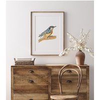 Nusshatch Aquarell Druck, Vogel Malerei, Illustration, Wanddeko von wldflwrstudioart