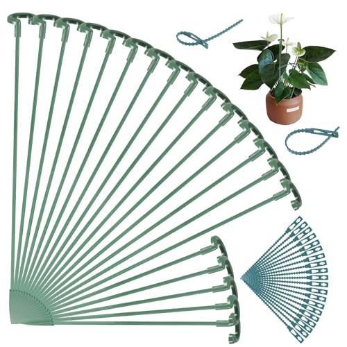 wlertcop Pflanzenstäbe 20 Stück 2 Size 6.69/10.63 Inches Orchideen Stäbe Blumenstütze Zimmerpflanzen Tomaten Rankhilfe, Rankhilfe Zimmerpflanzen Staudenhalter Pflanzen Stütze für Pflanzen wlertcop Pflanzenstäbe 20 Stück 2 Size 6.69/10.63 Inches Orchideen Stäbe Blumenstütze Zimmerpflanzen Tomaten Rankhilfe, Rankhilfe Zimmerpflanzen Staudenhalter Pflanzen Stütze für Pflanzen von wlertcop