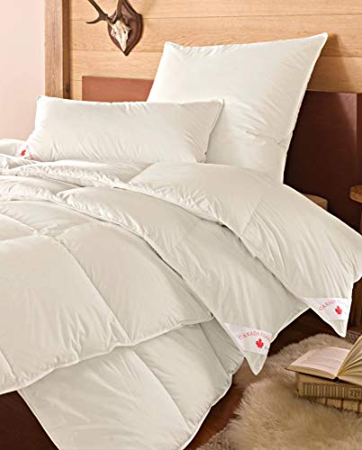 wohnTRAUM 24 Daunen-Kassettendecke Canada Natur PUR - Made IN Germany - Ganzjahres-Steppbett 4x6 Karos, 100% Reine weiße Daunen federleichter Kuschelfaktor - Öko-Tex-100, NOMITE, Downpass 135x200 cm wohnTRAUM 24 Daunen-Kassettendecke Canada Natur PUR - Made IN Germany - Ganzjahres-Steppbett 4x6 Karos, 100% Reine weiße Daunen federleichter Kuschelfaktor - Öko-Tex-100, NOMITE, Downpass 135x200 cm von wohnTRAUM 24