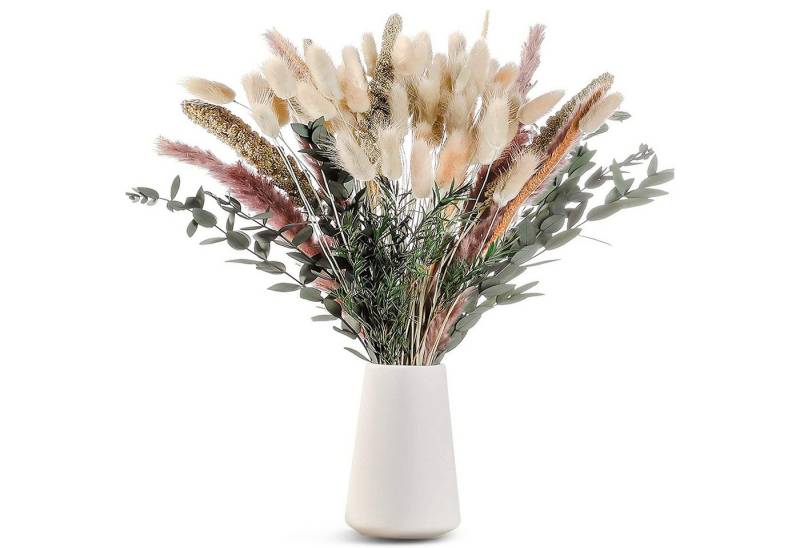 Trockenblume 100% Natürliche Trockenblumen,Pampasgras Trockenblumen Deko 85 Stück Pampasgras Getrocknet, Flauschige Eukalyptus Pampasgras Getrocknete Blume, wohnTRAUM24, Höhe 45 cm, Trockenblumenstrauß für Hochzeit Boho Deko Wohnzimmer Tischdeko von wohnTRAUM24