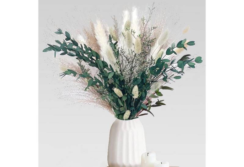 Trockenblume Pampasgras Getrocknet 65 Stück DIY Natürliche Trockenblumen Deko, wohnTRAUM24, Höhe 45 cm, Getrocknete Blumen für Hochzeit Boho Deko Wohnzimmer Hochzeit von wohnTRAUM24