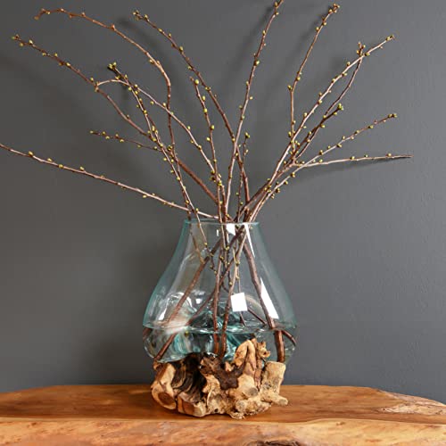 WOHNFREUDEN Teak Wurzel mit Glas Gr. L ca. 30-40 cm Teak Holz Wurzel Vase von wohnfreuden