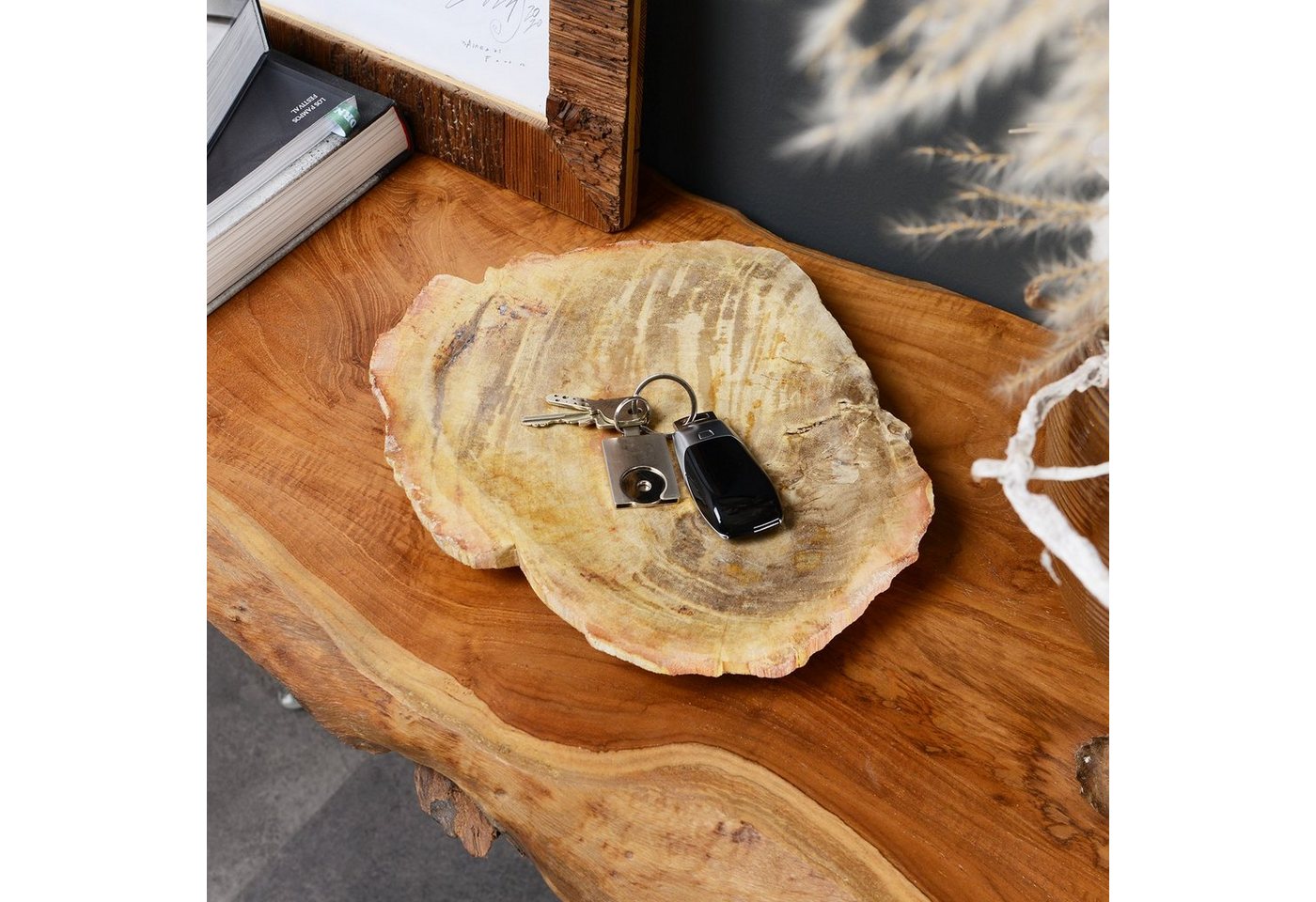 wohnfreuden Dekoschale Schale aus fossilem Holz creme ca. 30 cm, 30811 von wohnfreuden
