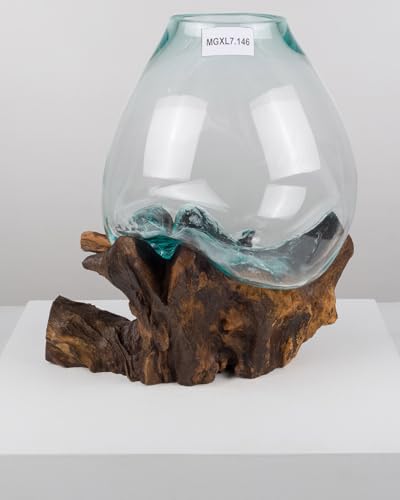 wohnfreuden Teak Holz Deko Wurzel mit Glas Gr. XL 45-55 cm von wohnfreuden