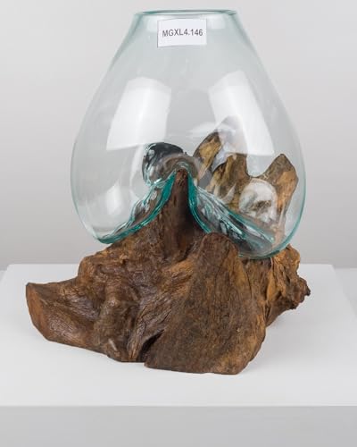 wohnfreuden Teak Holz Deko Wurzel mit Glas Gr. XL 45-55 cm von wohnfreuden